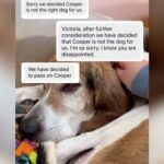 Nine Months and Counting: The Story of the Shelter Dog Rejected by Every Home